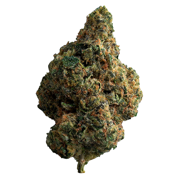 The Loud Plug - La Pop Star