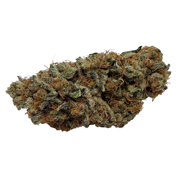 Color Cannabis - Pedro's Prima Sativa