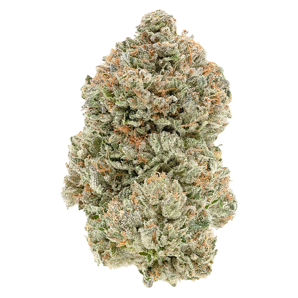 1964 - Organic Stinky Pinky