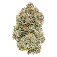 1964 - Organic Stinky Pinky