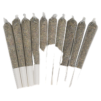 Color Cannabis - Pedro's Prima Sativa Pre-Roll