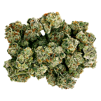 Starting Point! - Frenchy Macaroni