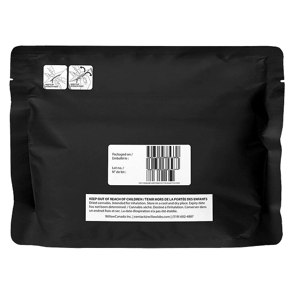 Starting Point! - Frenchy Macaroni