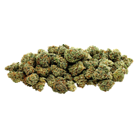 Electric Lettuce - Fruit Punched - Smalls