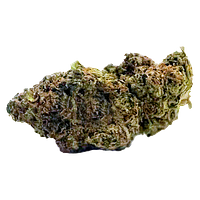 MTL Cannabis - East Coast Dank'z