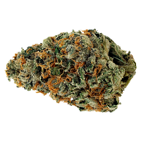 Starting Point! - Star Chase