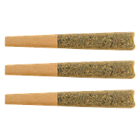 The Loud Plug - Key West Lime Infused Pre Roll