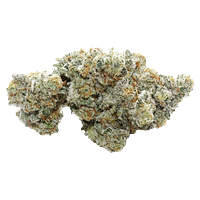 VOLO - Grapes of Wrath