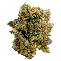 Handy Dandies - Itsy Bitsy Tipsy Whole Flower