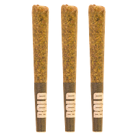 BOLD - Orange Crush Pre-Roll