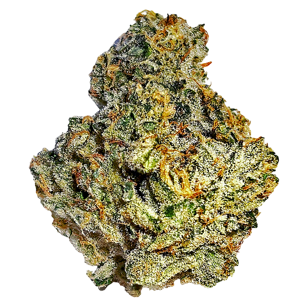 Cannabis Cartel Quads - Motorbreath 15