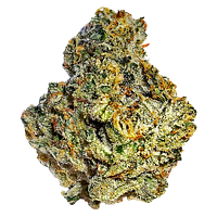 Cannabis Cartel Quads - Motorbreath 15