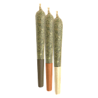 LOT420 - Triple Beam Pre Roll