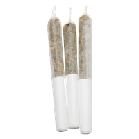 Lamplighter - P.O.G. Infused Pre Roll