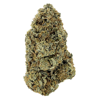 Woody Nelson - Rotating Payload