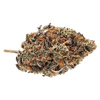 Ripe Flower - Menta Fina