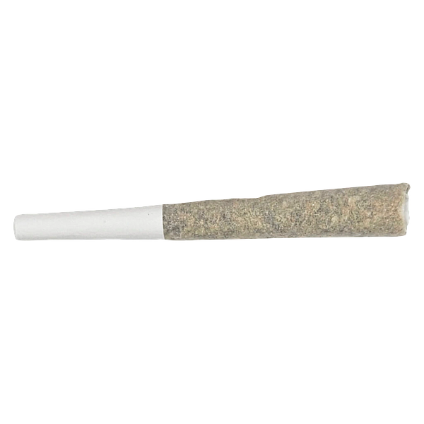 Soul Rebel - The Point Five Pre Roll