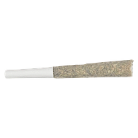 Soul Rebel - The Point Five Pre Roll