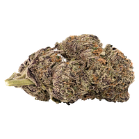 5 Points Cannabis - Blueberry Yum Yum