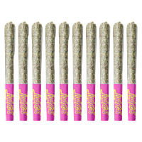 BOXHOT - Terpedos - Neon Riot Pre-Roll