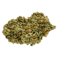 Pure Sunfarms - Backcross Mints