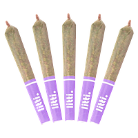 LITTI. - Bussn' Blackberry Infused Pre Roll
