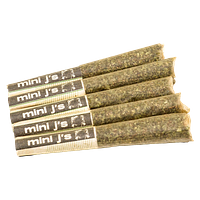 Violet Tourist - Infused Mini J's Tropical Pack