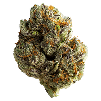 Muskoka Grown - Mighty Mini's