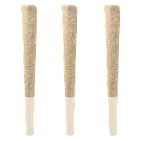 Cannabis Cartel - Ace Ganja Bombers Pre Roll