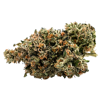 West Coast Gas - Old School Fuel