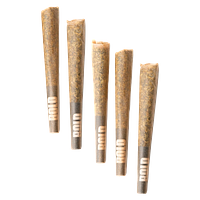 BOLD - Starfruit Burst Diamond Infused Pre-Roll