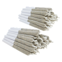 SHRED - Big Jar of Joints Tropic Thunder + Gnarberry Pre-Roll 