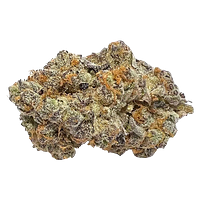 Cactus - Peachy Keen