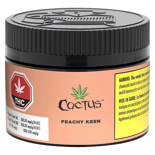 Cactus - Peachy Keen