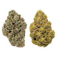 West Coast Craft - BC Craft Indica Vs. Sativa Discovery Pack