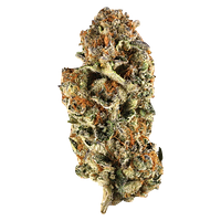 Station House - Canadian Northern Series