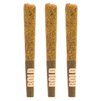 BOLD - Munyunz Pre Roll