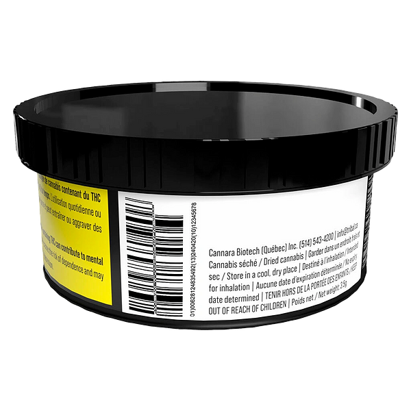 Tribal - Neon Sunshine Hybrid