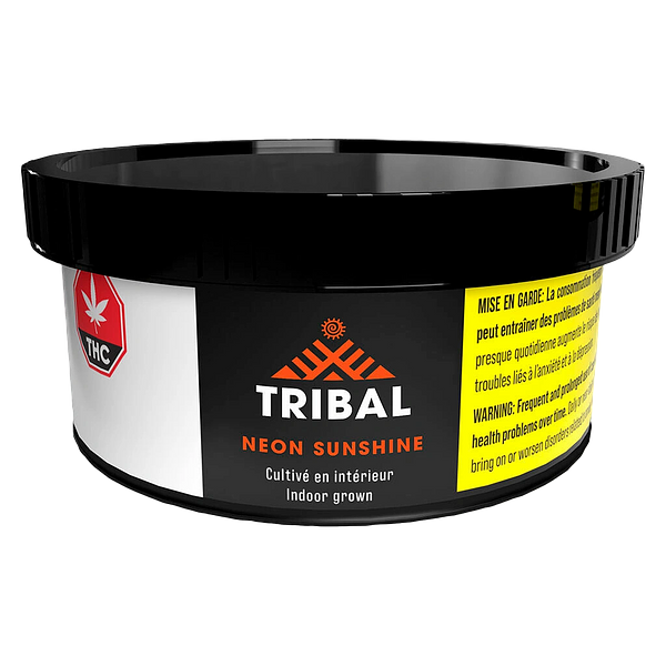 Tribal - Neon Sunshine Hybrid