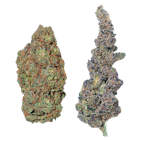 Purple Hills - Purple Hills Presents