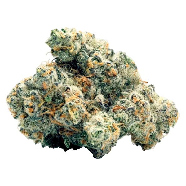 Toasted - Wifi Widow OG