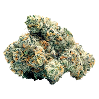 Toasted - Wifi Widow OG