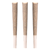 BLK MKT - Exclusives Pre Roll