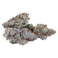 Sixty Seven Sins - Gary Satan