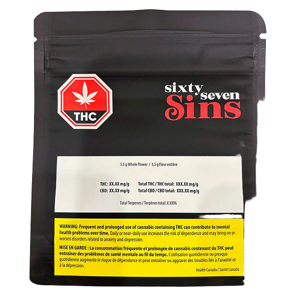 Sixty Seven Sins - Gary Satan