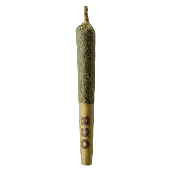 Sheeesh! - Jungle Kush Pre Roll