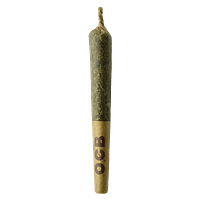 Sheeesh! - Jungle Kush Pre Roll