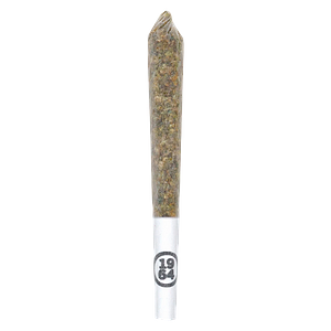 1964 - Resin Roll Blue Dream Infused Pre Roll