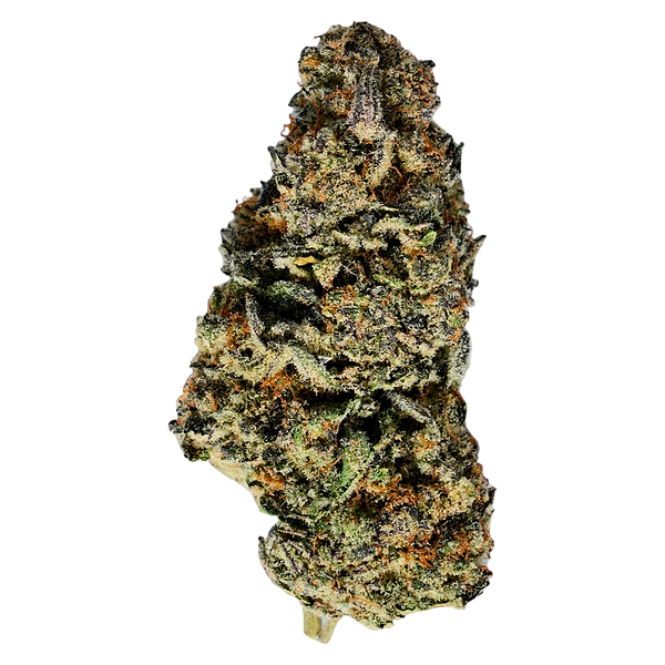 TADU - Mutant Rootbeer