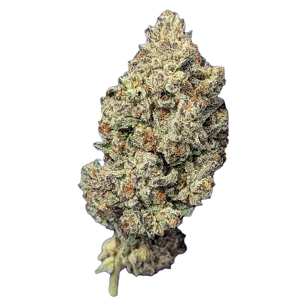 Papa's Herb - Astro Pink